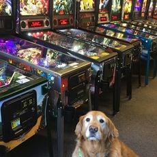 Seattle Pinball Museum