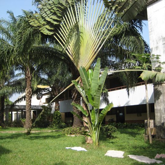 Biblioteca Nacional de Guinea-Bisáu