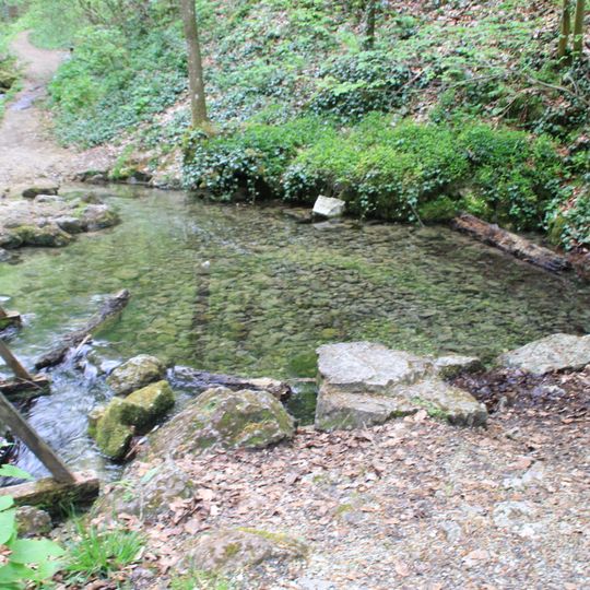 Ursprung des Weißen Kochers