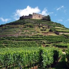 Schloßberg Staufen
