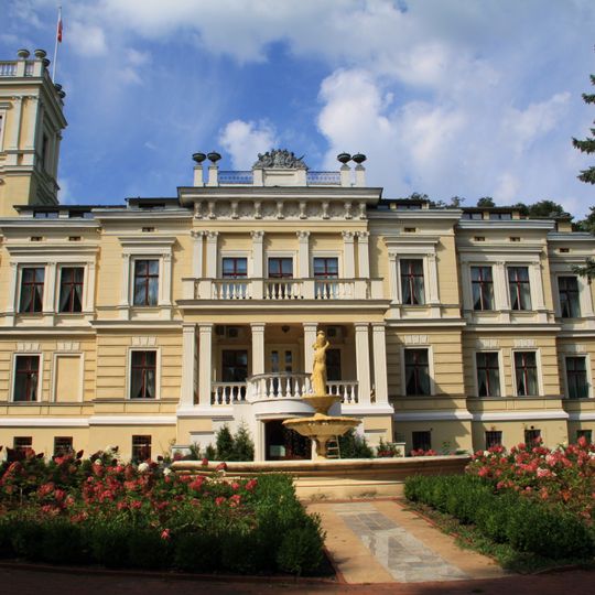 Biedrusko Palace