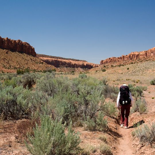 Little Death Hollow Trailhead