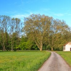 Zámecký park Kačina