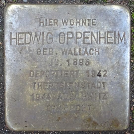 Stolperstein dedicated to Hedwig Oppenheim