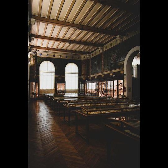 Natural History Museum of Marseille