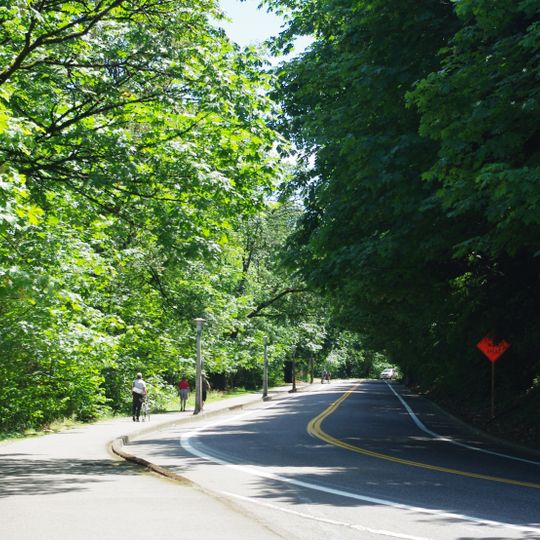 Terwilliger Boulevard