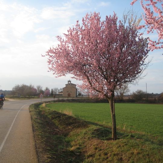 Alcubilla de Avellaneda