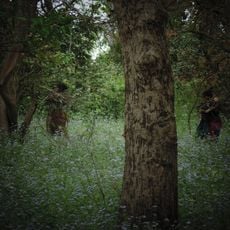 Pilibhit Tiger Reserve