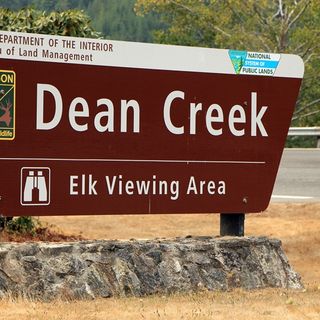 Dean Creek Wildlife Area