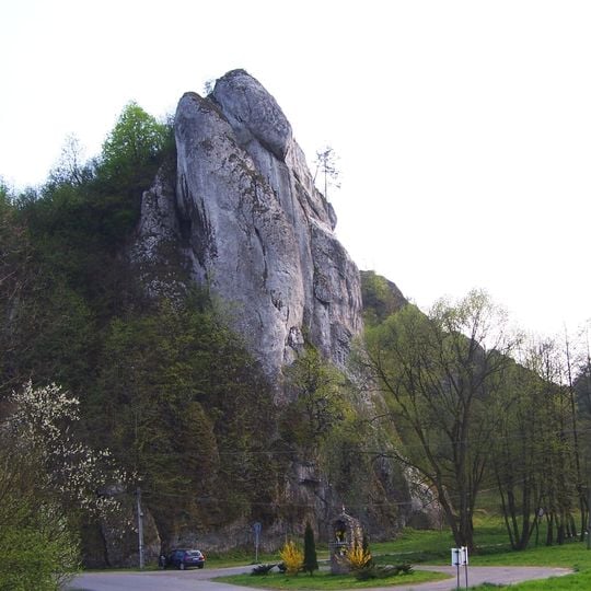 Rezerwat przyrody Zimny Dół