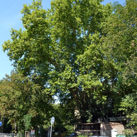 Most přes Šárecký potok z ulice V Podbabě k domu čo. 18