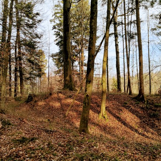 Burgstelle Obere Heidenburg
