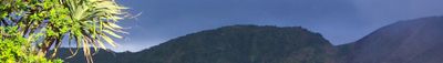Panoramic View 1