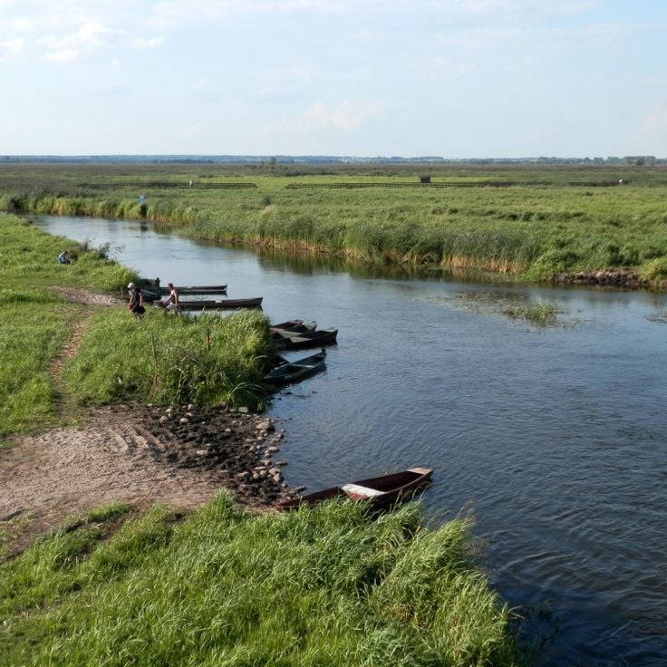 Parc national de Narew