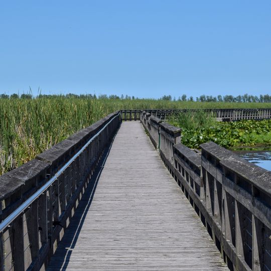 Marsh Boardwalk