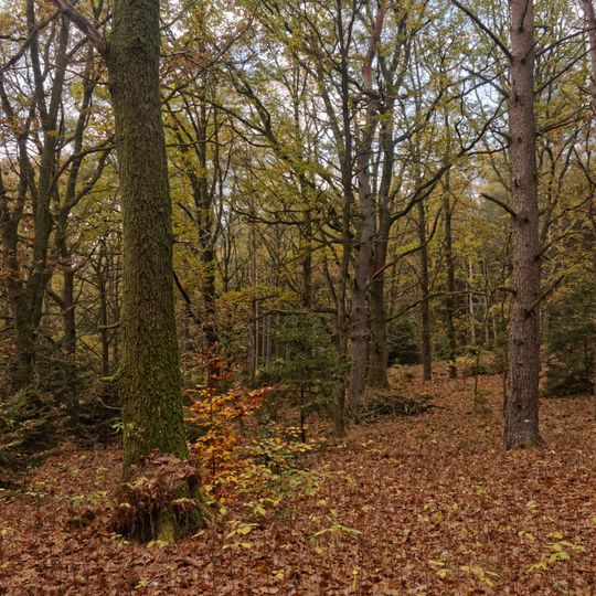 Großer Segeberger See