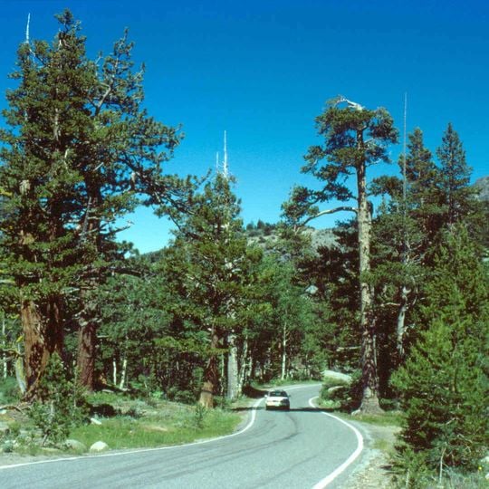 California State Route 4