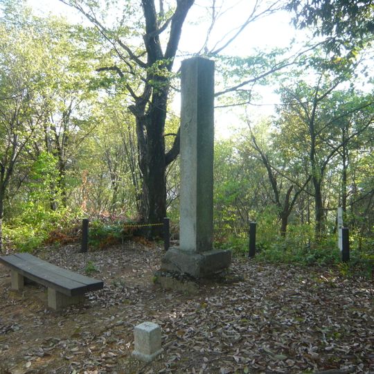 Château de Sagiyama