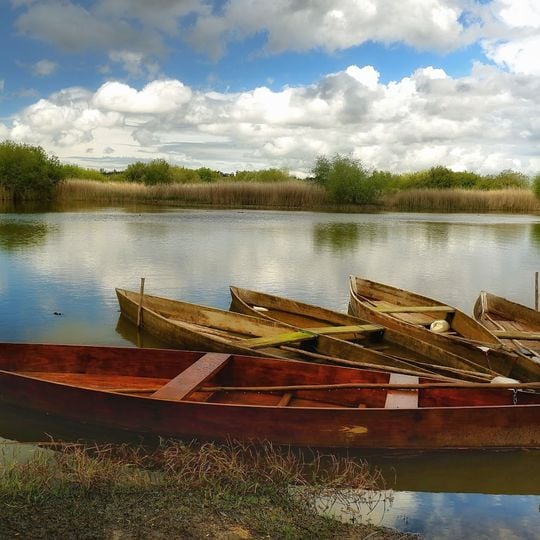 Pateira de Fermentelos