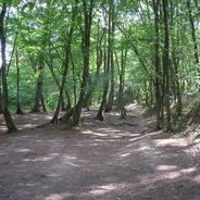Où échapper (un peu) à la canicule un peu partout en France