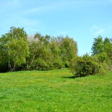 Podmilesy (natural monument)