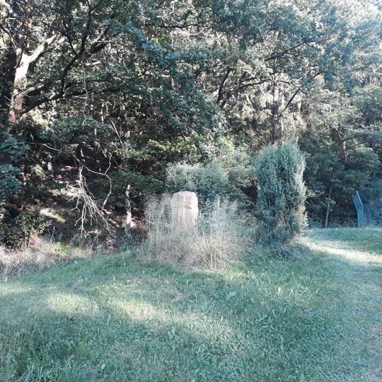 Kříž západně od Žichlic