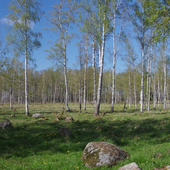 Dimbo nature reserve