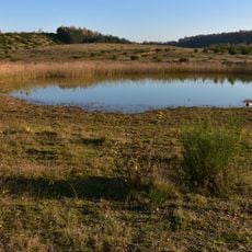 Mechelse Heide Noord