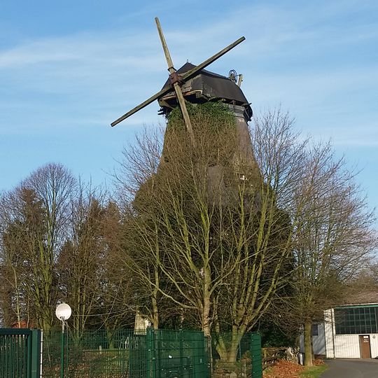 Windmühle Reina Roxana