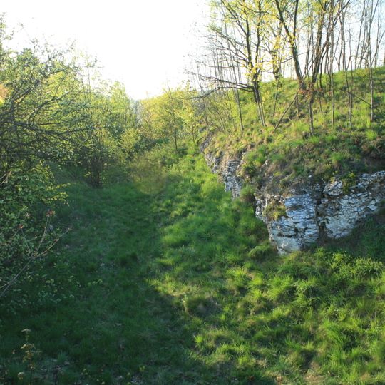 Szaniec rdzenia NS-32