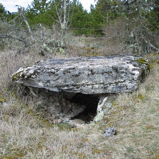 Dolmen de Bramonas