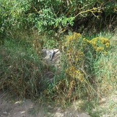 Kříž u rozorané cesty ze Záluží do Budislavi