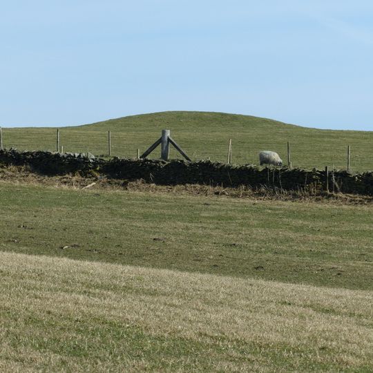Bowl barrow at Ox Close