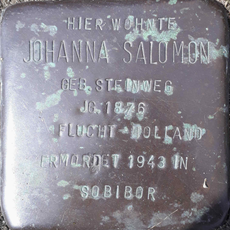 Johanna Salomon