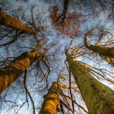 Schutz von Landschaftsteilen im Landkreis Eggenfelden, LSG "Park Schönau"