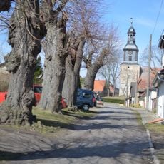 Naturdenkmal Gruppe von 6 Linden