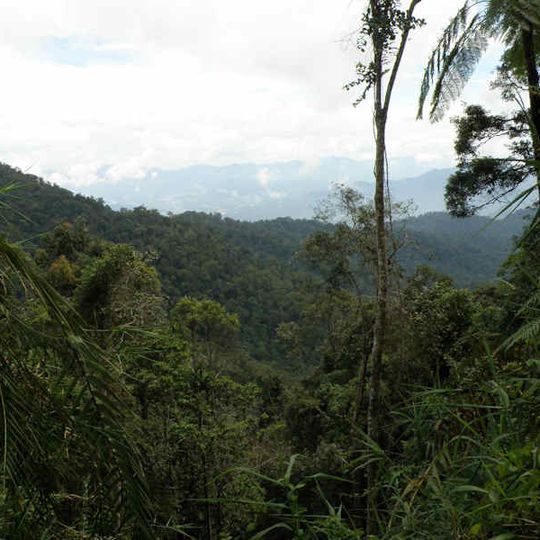 Larut Hill