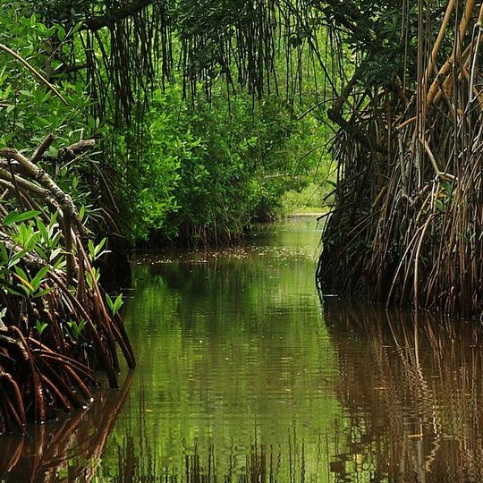 Laguna de Tacarigua National Park