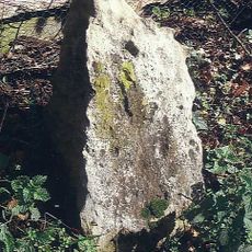Milestone, 17yds E of No. 2 Paddock Cottages