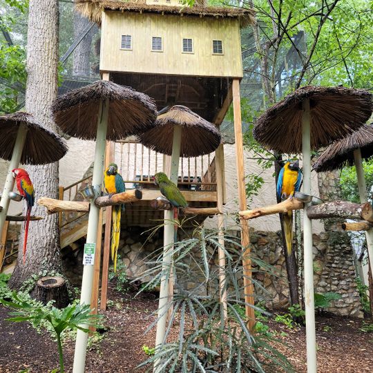 Parrot Mountain and Gardens