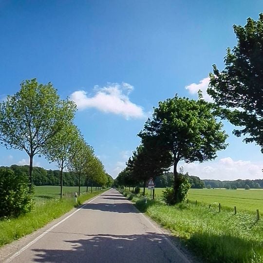 FFH-Gebiet Bönebütteler Gehege