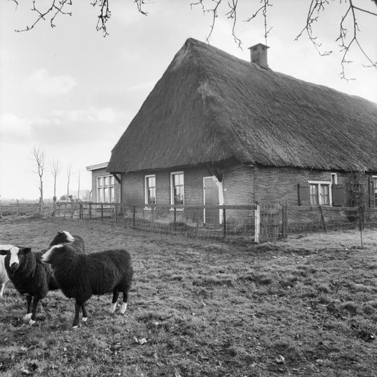 Boerderij met achterbaander en onderschoer onder rieten schilddak
