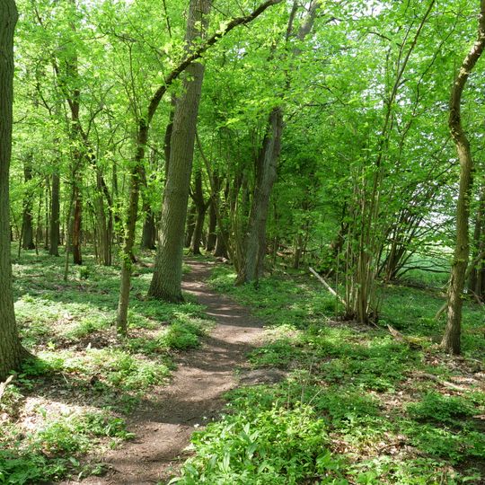 Eiskeller und Spandauer Luchwald