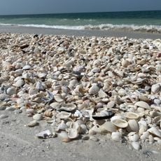 Morgan Beach