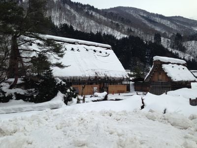 Winter 1