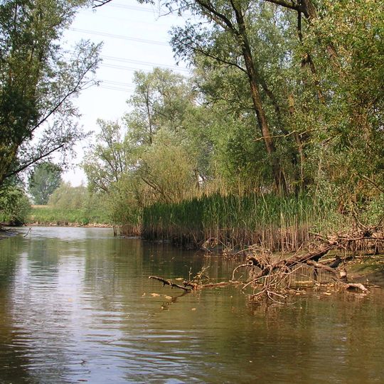 De Biesbosch National Park