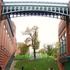 Dąb Cytadelowców Poznańskich w Poznaniu