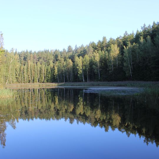 Vaidlėnai pond