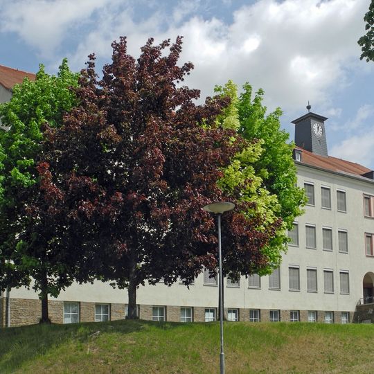 Thomas-Mann-Straße 1, Schule