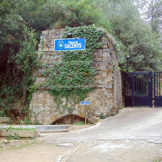 Manantial de Salenys